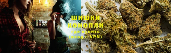 шишки Балахна
