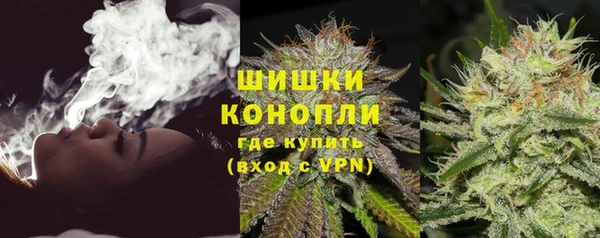 шишки Балахна